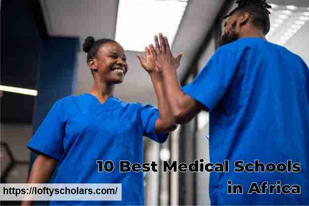 10 Best Medical Schools in Africa