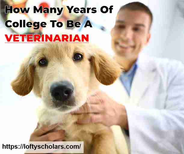 How Many Years Of College To Be A Veterinarian