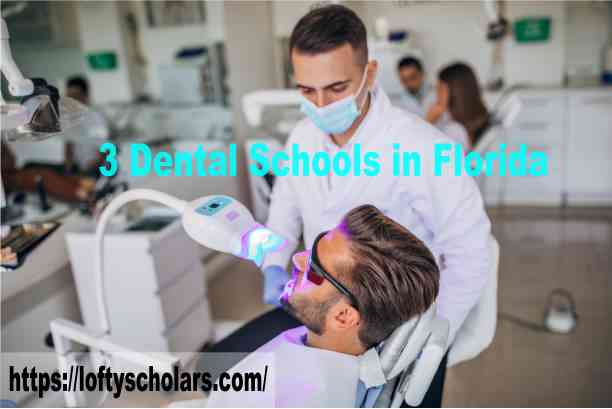 3 Dental Schools in Florida For International students